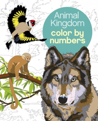 Книга Animal Kingdom Color by Numbers 