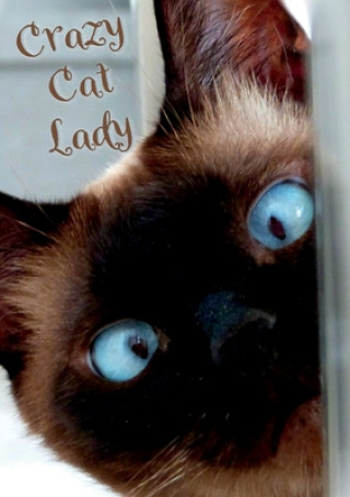 Boek Crazy Cat Lady Notebook Vivienne Ainslie