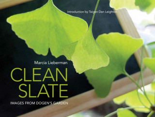Книга Clean Slate 
