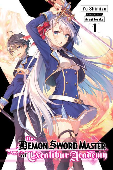 Carte Demon Sword Master of Excalibur Academy, Vol. 1 (light novel) 