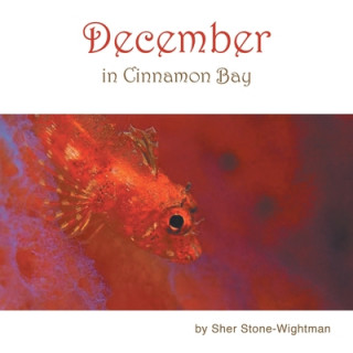 Книга December in Cinnamon Bay 