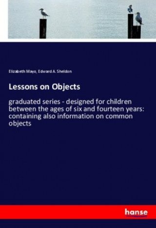 Knjiga Lessons on Objects Edward A. Sheldon