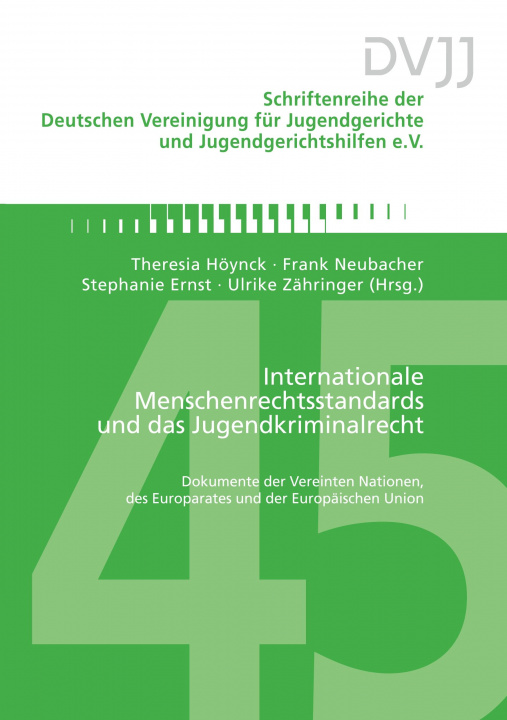 Kniha Internationale Menschenrechtsstandards und das Jugendkriminalrecht Frank Neubacher