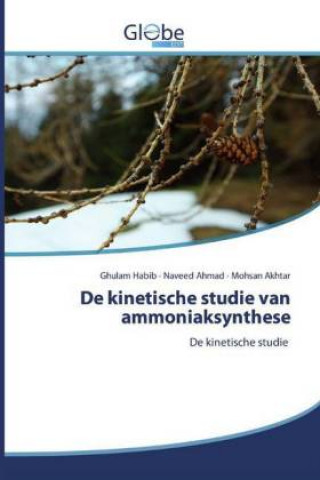 Knjiga De kinetische studie van ammoniaksynthese Naveed Ahmad