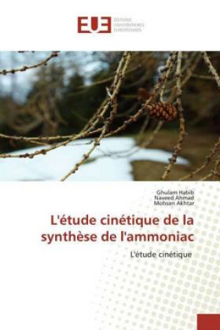 Boek L'étude cinétique de la synth?se de l'ammoniac Naveed Ahmad