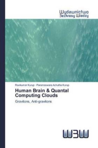 Knjiga Human Brain & Quantal Computing Clouds Parameswara Achutha Kurup