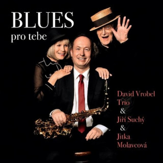 Аудио Blues pro tebe David Vrobel