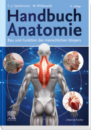 Książka Handbuch Anatomie Werner Wittkowski