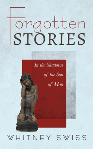Knjiga Forgotten Stories Stephen W. Shanley
