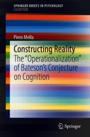 Книга Constructing Reality Piero Mella