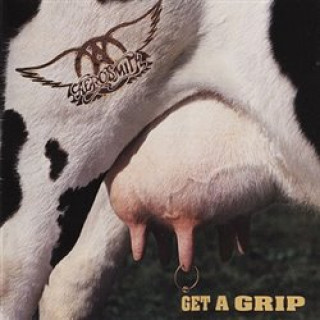 Kniha Get A Grip Aerosmith