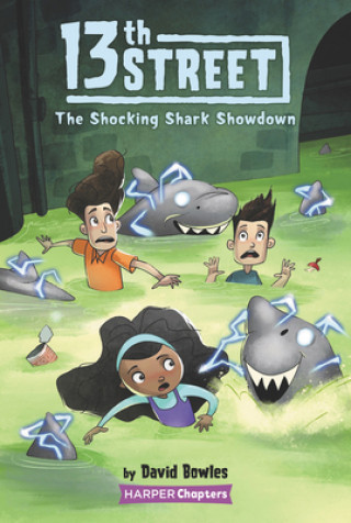 Carte 13th Street #4: The Shocking Shark Showdown Shane Clester