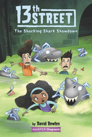 Kniha 13th Street #4: The Shocking Shark Showdown Shane Clester