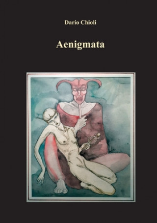 Boek Aenigmata Dario Chioli