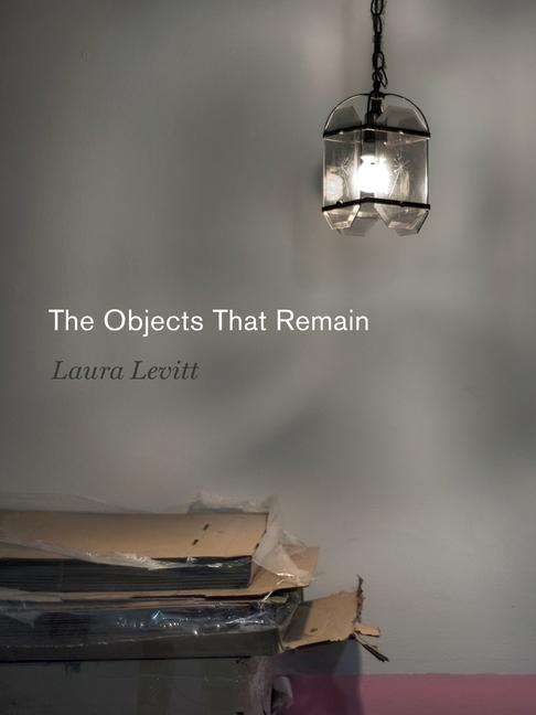 Knjiga Objects That Remain Laura Levitt