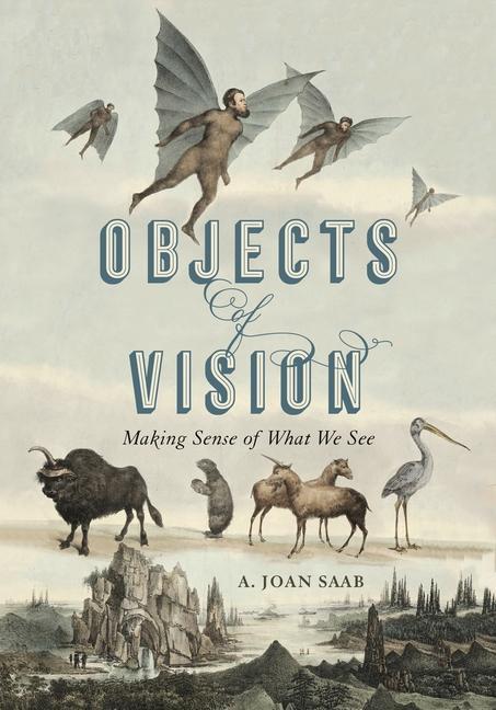 Knjiga Objects of Vision A. Joan Saab