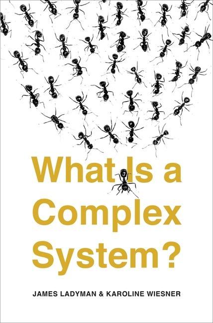 Kniha What Is a Complex System? J. Ladyman