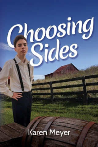 Knjiga Choosing Sides Karen Meyer