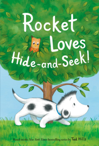 Book Rocket Loves Hide-and-Seek! Hills