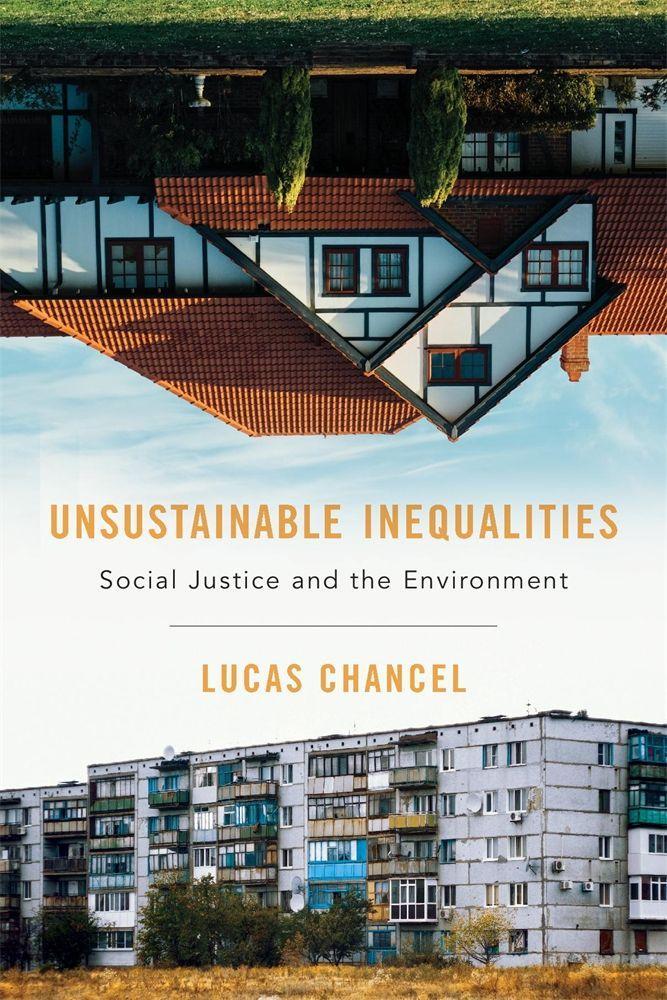 Könyv Unsustainable Inequalities Malcolm Debevoise