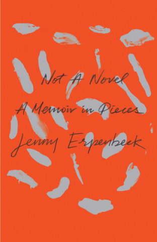 Kniha Not a Novel - A Memoir in Pieces Kurt Beals