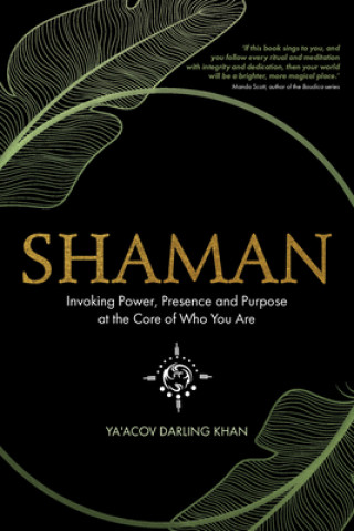 Kniha Shaman, Invoking Power, Presence and Purpose at the Core of Who You Are 