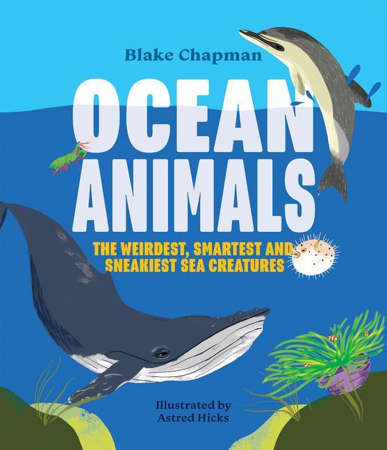 Book Ocean Animals Blake Chapman