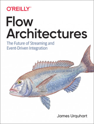 Kniha Flow Architectures 