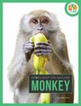 Book Monkey Gish