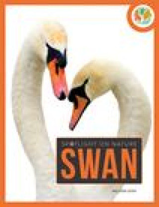 Knjiga Swan Gish