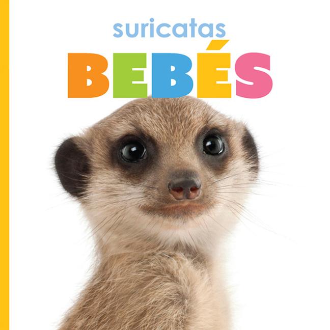 Knjiga Suricatas Bebés 