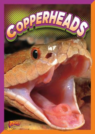 Buch Copperheads 