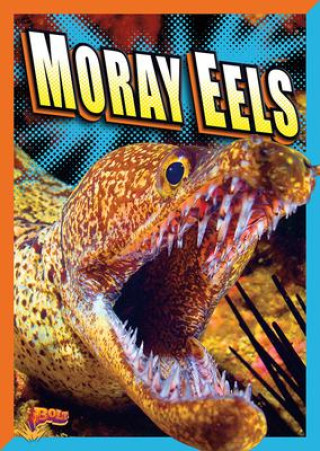 Knjiga Moray Eels Gail Terp