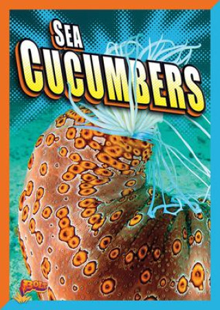 Livre Sea Cucumbers 