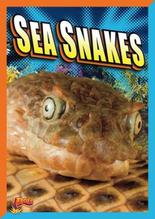 Carte Sea Snakes 
