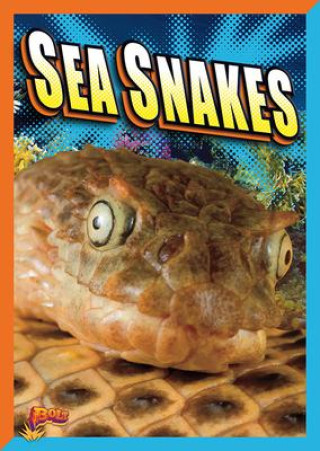 Βιβλίο Sea Snakes 