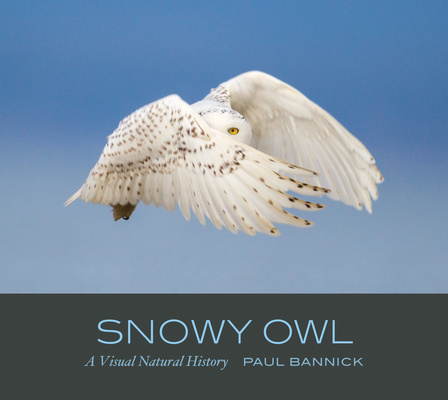 Kniha Snowy Owl: A Visual Natural History 