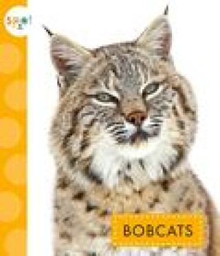 Buch Bobcats Thielges