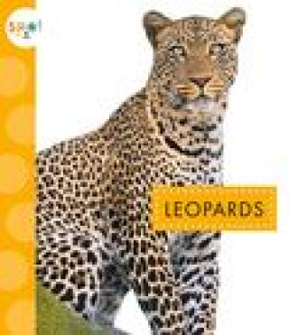 Kniha Leopards Thielges