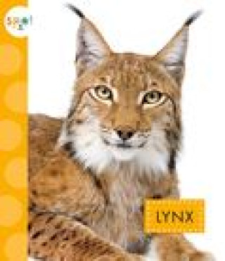 Book Lynx Thielges
