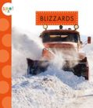 Book Blizzards Suen