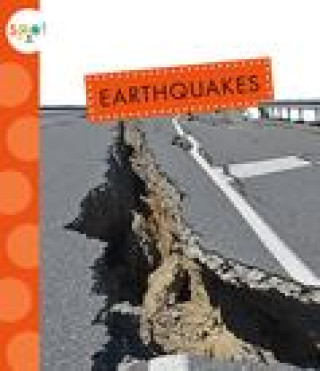 Book Earthquakes Suen
