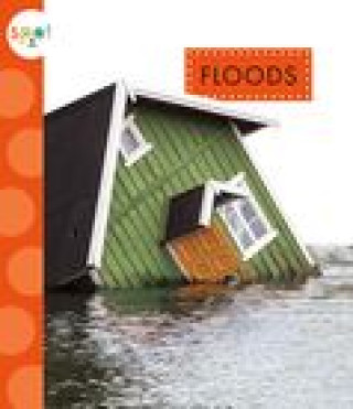 Buch Floods Suen