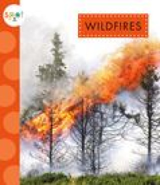 Book Wildfires Suen