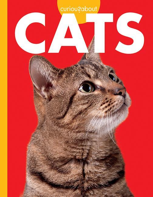 Knjiga Curious about Cats Osborne