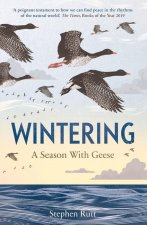Könyv Wintering 
