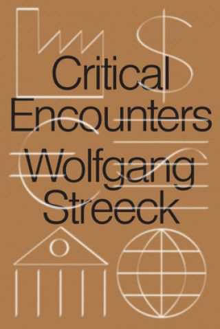 Könyv Critical Encounters 