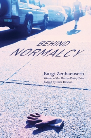 Knjiga Behind Normalcy Burgi Zenhaeusern
