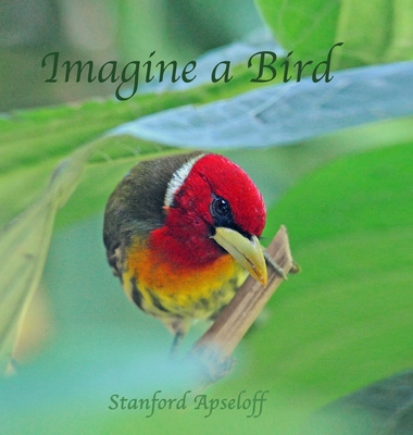 Carte Imagine a Bird 