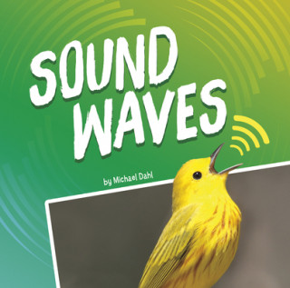 Buch Sound Waves Dahl